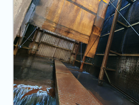 <strong>破解填料结垢难题：科</strong>